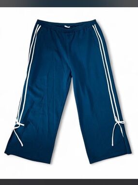 NWT Torrid Plus Size 4x Blue and White Wide Leg Track Pants